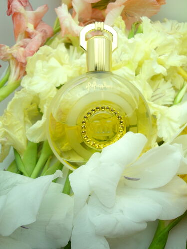 Gardenia edp